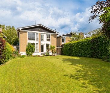 42 Kilgobbin Heights, Stepaside, Dublin 18 - Photo 5