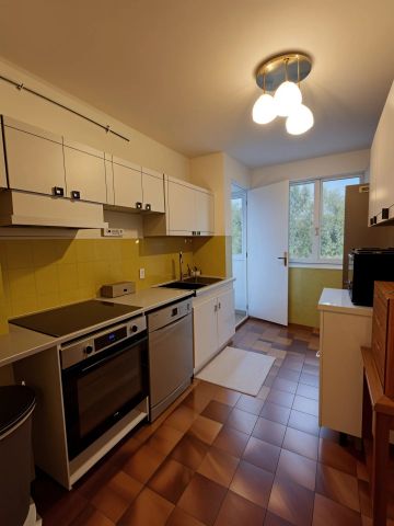 Location Appartement 3 pièces 57m² CANNES 06400 - Photo 5