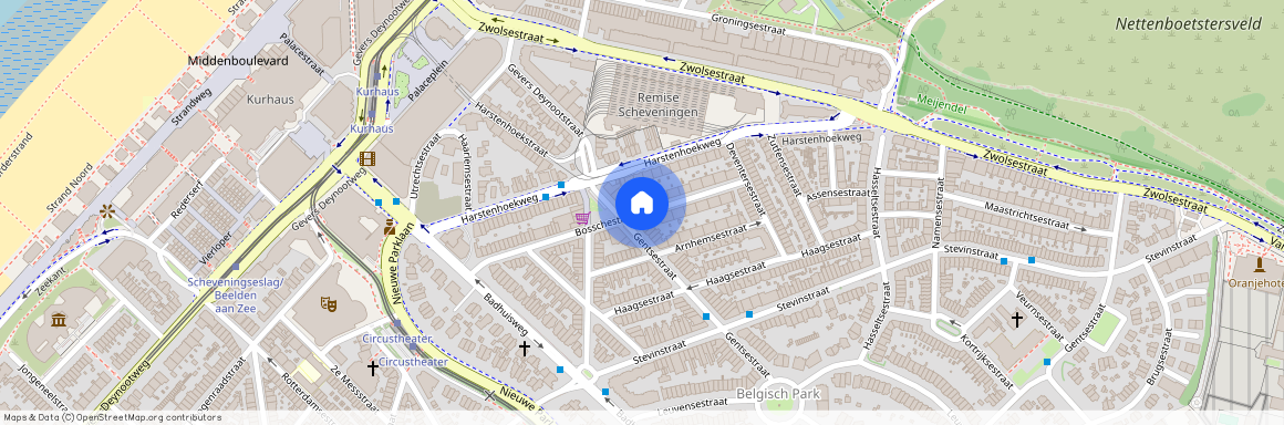 Belgisch Park, 2587 HG, Bosschestraat, Den Haag