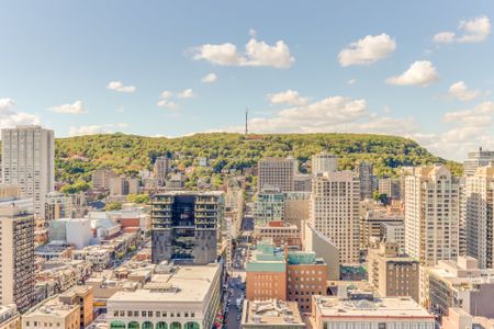 Appartement à louer, Montréal (Ville-Marie) - Photo 3