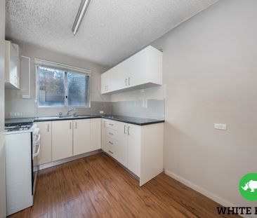 1/3 Velacia Place, Queanbeyan NSW 2620 - Apartment For Rent | Domain - Photo 2