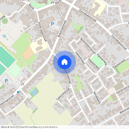 Cayennestraat 3A 201, 8920 Langemark