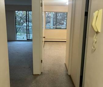 Kitsilano one bedroom for rent - Photo 1