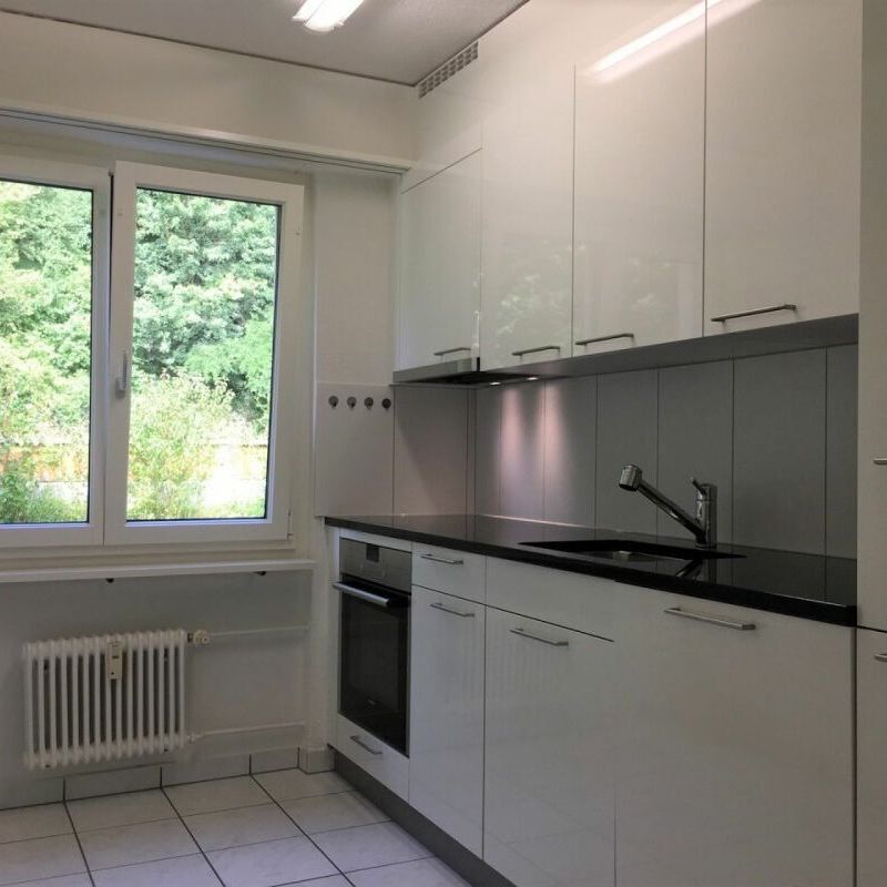 À SEULEMENT 5 MINUTES DE FRICK ! SUPER APPARTEMENT À UEKEN - Photo 1