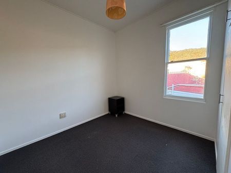 large 1 bedroom in Mt Victoria - Photo 2