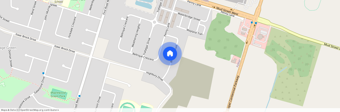 41 Bradbury Road, Hamilton