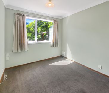 Island Bay Living - Photo 4