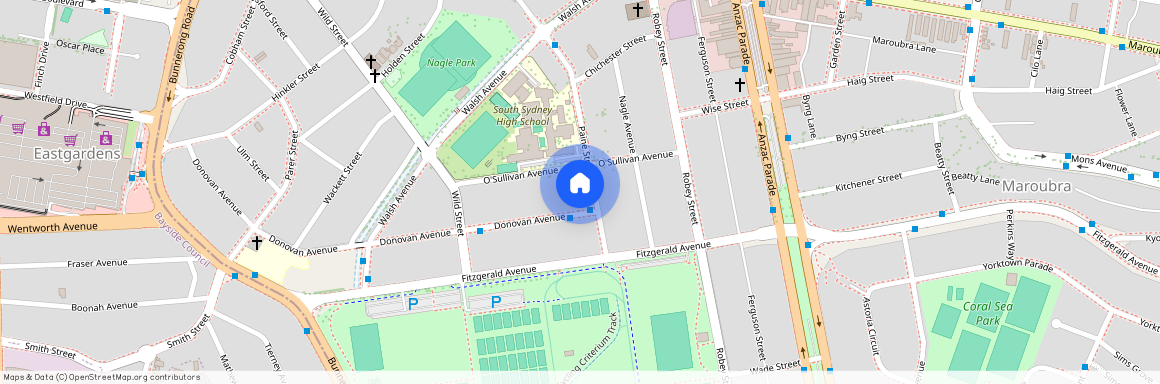 117 Paine Street, NSW 2035, Maroubra