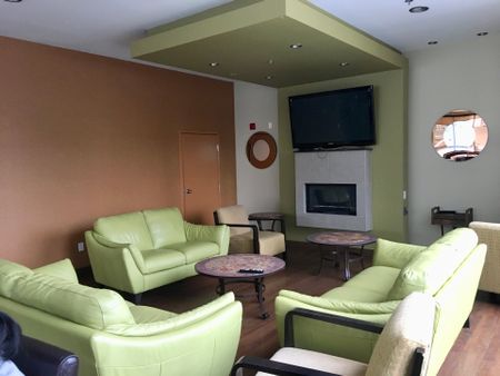 1200 Rue St Alexandre, Montréal (Ville-Marie), QC H3B - Photo 5