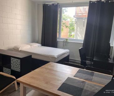 📢 Cession de bail – Studio meublé tout inclus – 1012$ – Côte Sainte... - Photo 3