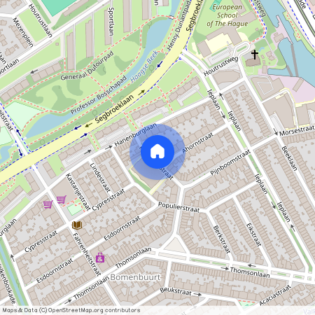 Pijnboomstraat 115, 2565ZM, 'S-Gravenhage