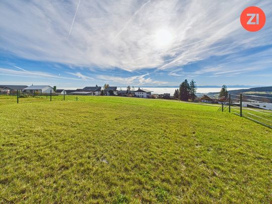 *Über der Nebelgrenze* 4- Zimmer Wohnung mit Terrasse und Garten - Photo 1