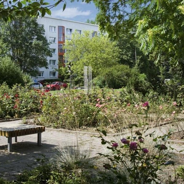 Haldenslebener Weg 9 - Harzer-Karree - Foto 1