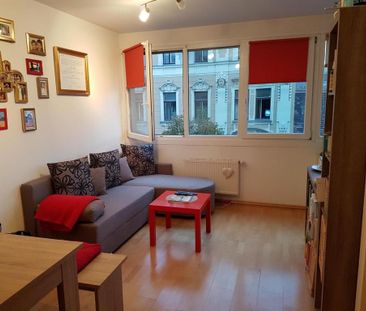 Laudongasse: Modernes Single-Apartment in toller Lage - Photo 1