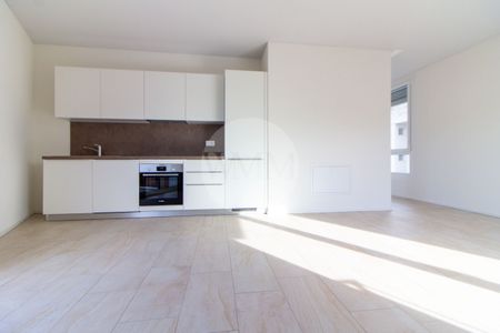 3.5 MODERN LOCALS IN VIGANELLO - Photo 5