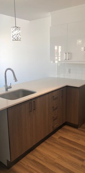 À LOUER LAVAL SUPERBE 4,5 TRIPLEX - Photo 2