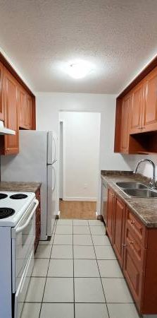 New Westminster 2 bedroom + Den apartment available on February 15th - Photo 1