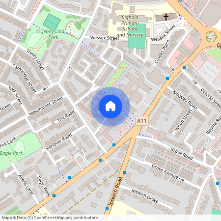 Alexandra House, Thomas Wyatt Close, Norwich