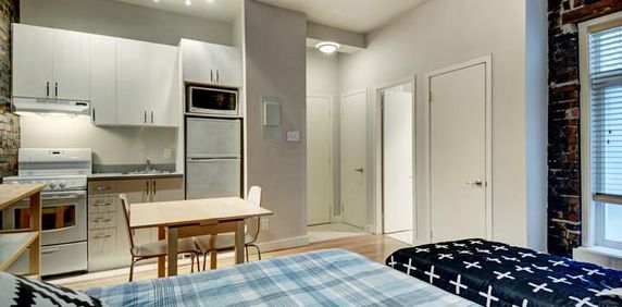 Loft entièrement meublé à louer Saint-Jean-Baptiste octobre 2025 - Photo 2