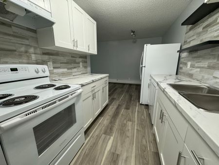 RENOVATED 1-Bedroom Apartment - SMALL PET FRIENDLY! - Photo 3