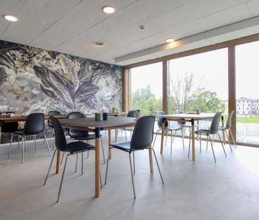 Lily #33 - Coliving at Lily: Modern Living near Lausanne, EPFL and ... - Foto 5
