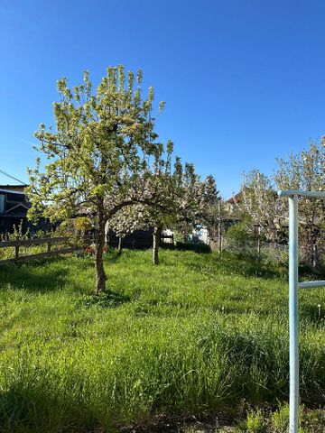 Frisch sanierte helle 2 Raum Wohnung in ruhiger Lage mit wunderschönem Garten - Photo 4