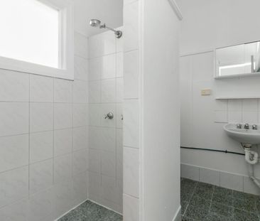 Pet Friendly Coastal Beach Shack with Ocean Views - Photo 4