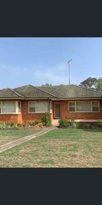 Freshly Updated 3 Bedroom - Photo 4