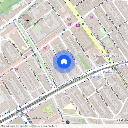 Paulinastraat 42, Bezuidenhout-Midden, 2595GJ, Den Haag