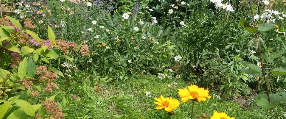 Schöne Wohnung zu vermieten - Foto 1