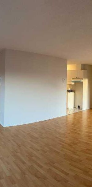 Grand 5 1/2 a louer - Photo 1