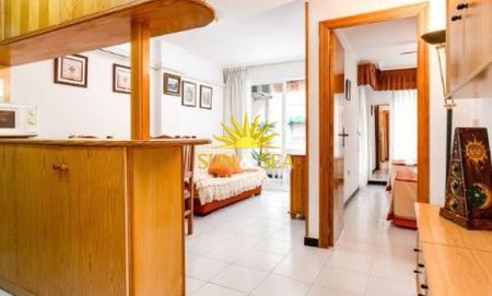2 BEDROOM APARTMENT - TORREVIEJA - Photo 5
