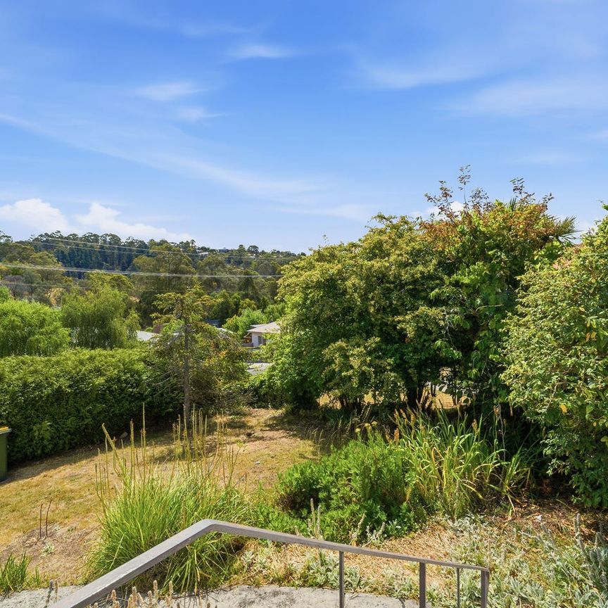 Light Filled 3 Bedroom Home in Convenient Location - Photo 1