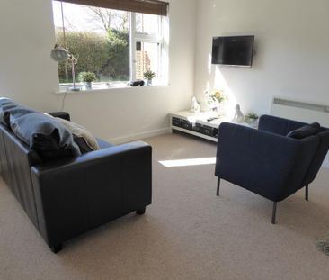 Studio to rent - Photo 4