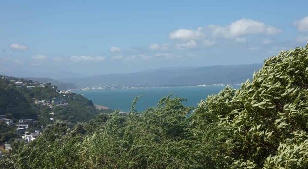 Sunny Studio Flat - Photo 1