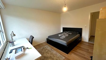 2½ Zimmer-Wohnung in Adliswil (ZH), möbliert, auf Zeit - Foto 5