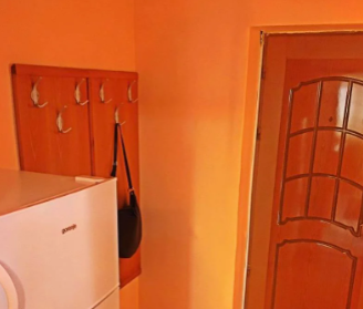 Proprietar închiriez garsonieră lapuș - Photo 6