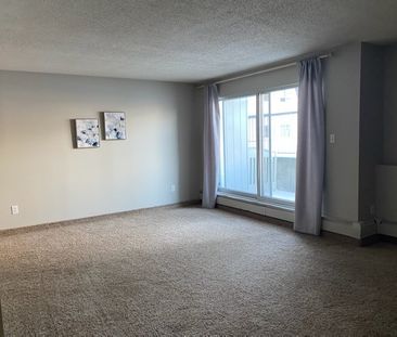 Palisades Manor - Photo 4