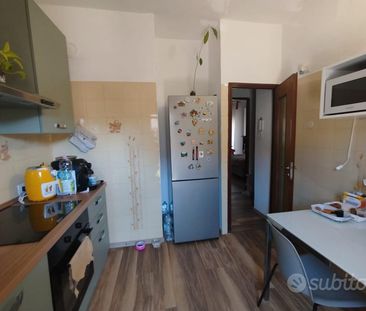 Stanza a Melegnano in bilocale con bagno condiviso - Foto 3