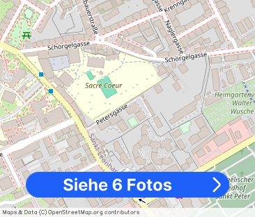 Charmante 1-Zimmer-Wohnung in Graz – Petersgasse 15 Top 10 - Foto 1