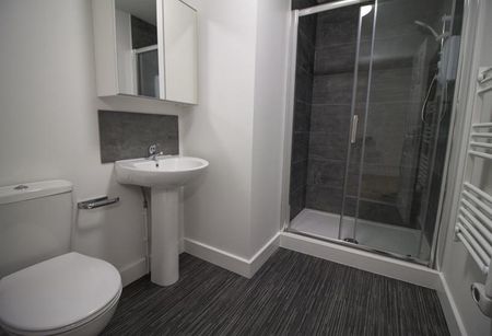 Studio to rent - Photo 4