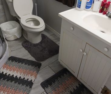 For Lease - 5890 Delledone Drive Unit# basement, Mississauga, Ontario - Photo 5