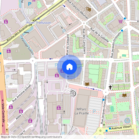 28 Rue Alexandre-Gavard, 1227 Carouge