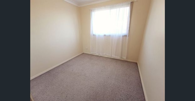 Cuteness Overload! - Photo 1