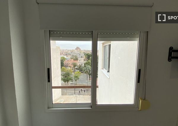 alicante, Valencian Community 03009