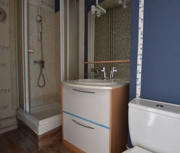 Location Appartement 1 pièce 25m² - Photo 4