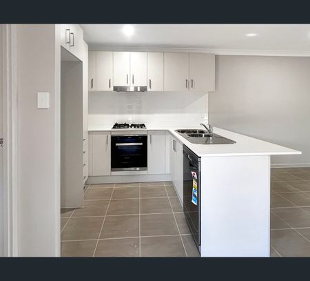 1/8 Elm Drive, Gunnedah, NSW 2380 - Photo 4
