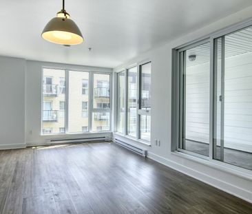 9675 Av. Papineau, Montréal, QC - Photo 4
