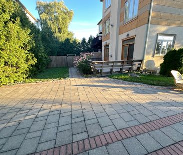 For Lease - 83 Elm Avenue, Richmond Hill, Ontario - Photo 3