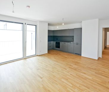 DER BALLON - Ankommen und abheben - NATURNAHES WOHNEN NAHE DER SEES... - Foto 3